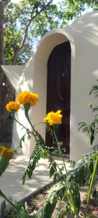 Done Right Hostel Phumi Chrouy Svay Εξωτερικό φωτογραφία